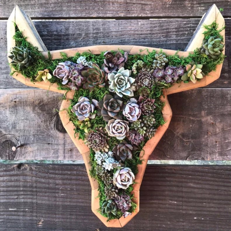 Animal Succulent Garden Arrangement